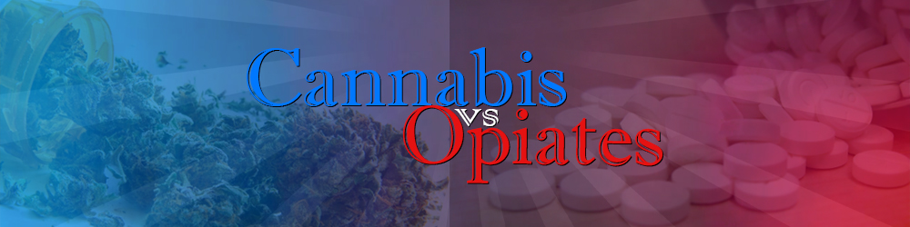 Cannabis as an Alternative to Opiates