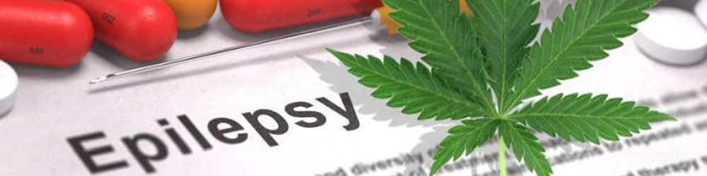 Epilepsy and CBD – Finding the Facts